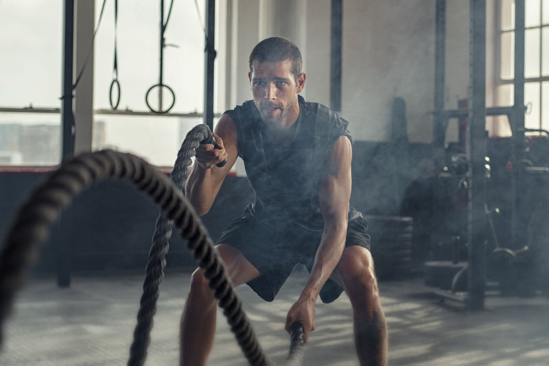 Creatina 101: El combustible secreto para tus músculos 🚀💪